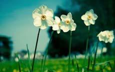 程晓霞预约挂号,杭州市中医院肾内科专家门诊分享