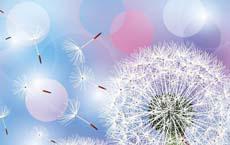 宋水江预约挂号，浙二医院跑腿代挂号